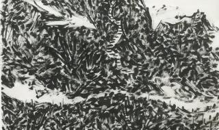 艺术品收藏与鉴赏这个专业怎样 艺术品收藏投资社区