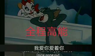 2022年哪六种动物消失 猫和老鼠消失的22集