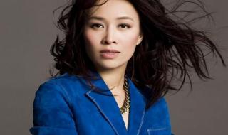 雾里看花那英歌词含义 那英的歌曲雾里看花