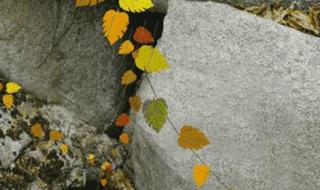 一层什么的词语 一层秋雨一层凉