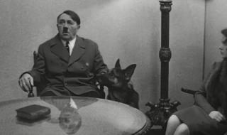 鹬蚌相争渔翁得利的道理 鹬蚌相争的道理