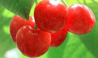 求!给农民专业合作社起一个名字 专业合作社