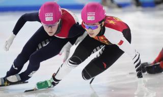 短道速滑500米四分之一决赛规则 女子短道速滑500米